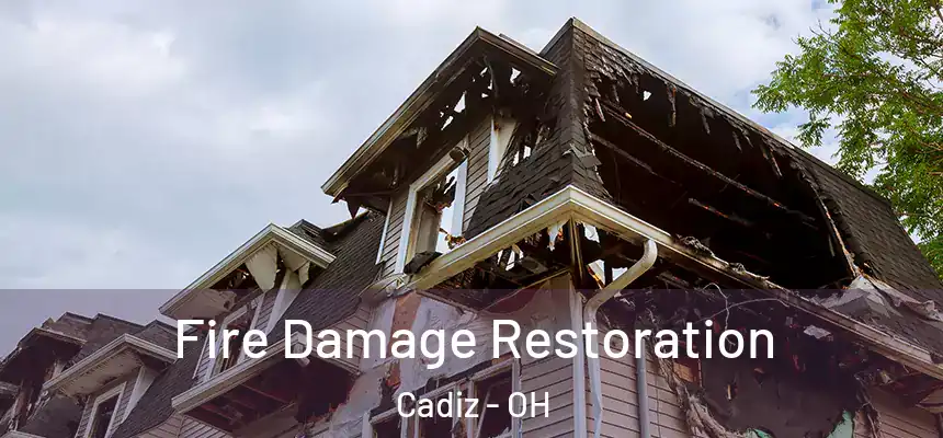  Fire Damage Restoration Cadiz - OH