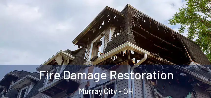 Fire Damage Restoration Murray City - OH