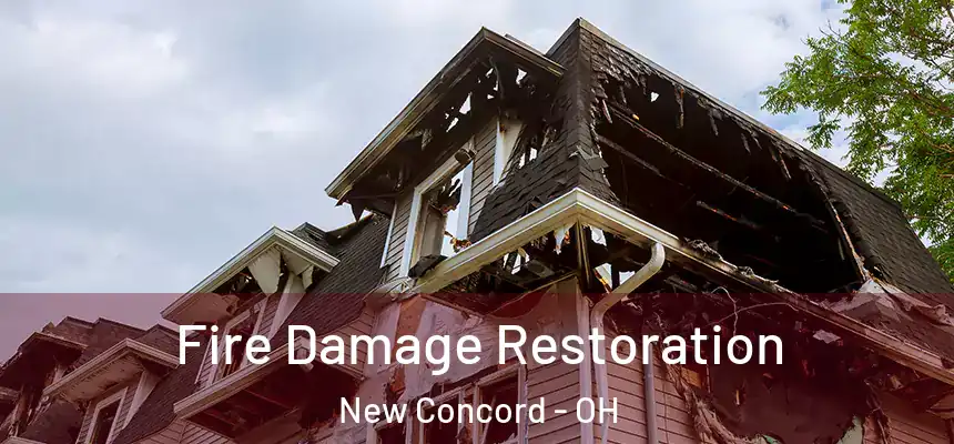 Fire Damage Restoration New Concord - OH