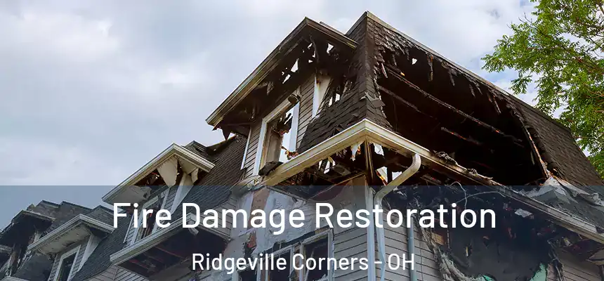  Fire Damage Restoration Ridgeville Corners - OH