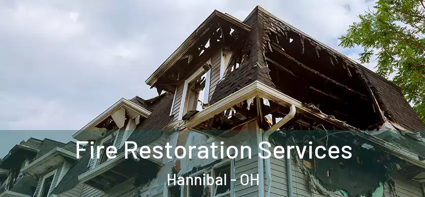  Fire Restoration Services Hannibal - OH