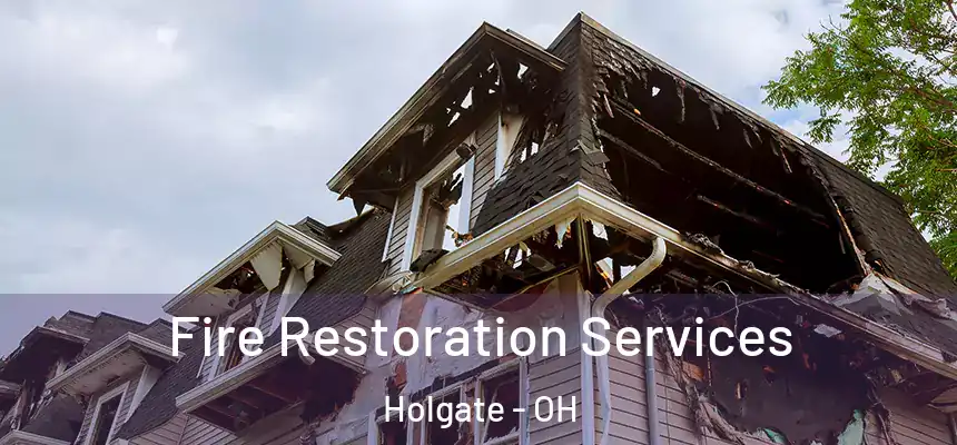 Fire Restoration Services Holgate - OH