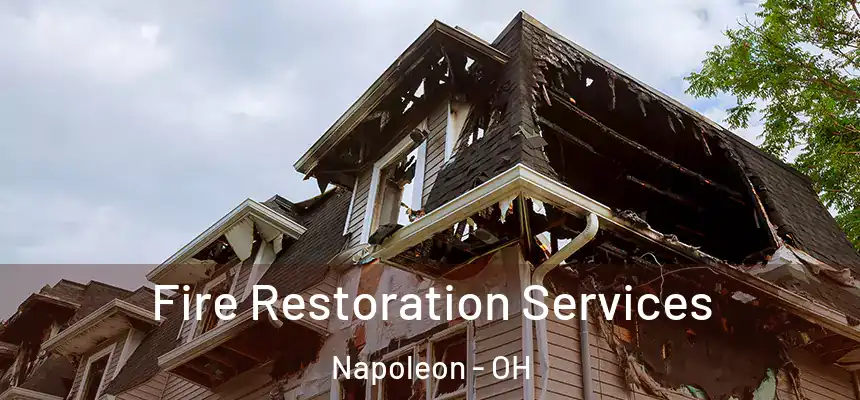  Fire Restoration Services Napoleon - OH