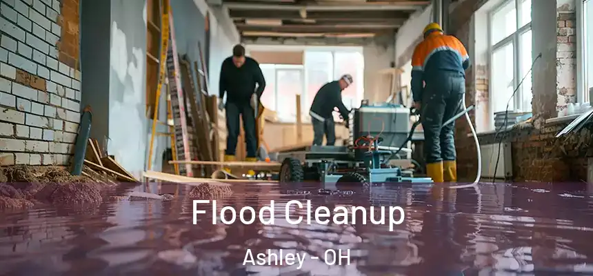 Flood Cleanup Ashley - OH