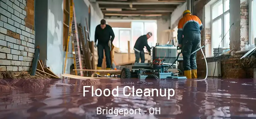  Flood Cleanup Bridgeport - OH