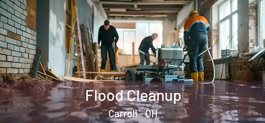 Flood Cleanup Carroll - OH