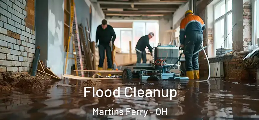  Flood Cleanup Martins Ferry - OH