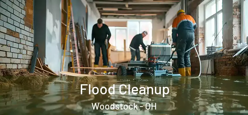 Flood Cleanup Woodstock - OH