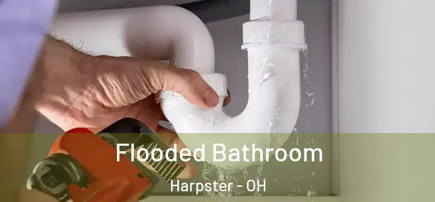  Flooded Bathroom Harpster - OH
