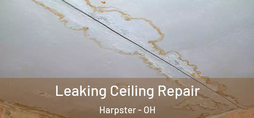  Leaking Ceiling Repair Harpster - OH