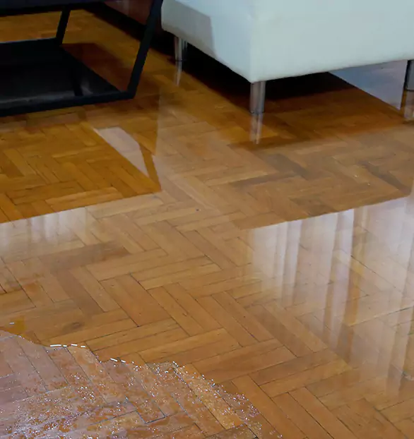 Trusted Emergency Water Restoration Company in Harpster, OH