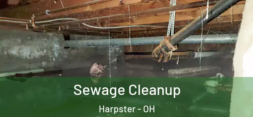  Sewage Cleanup Harpster - OH