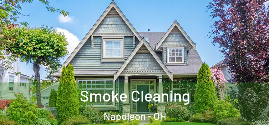 Smoke Cleaning Napoleon - OH