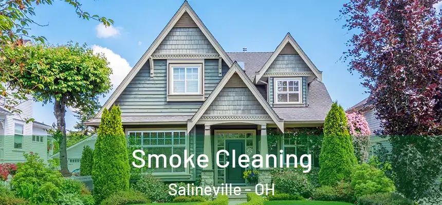 Smoke Cleaning Salineville - OH