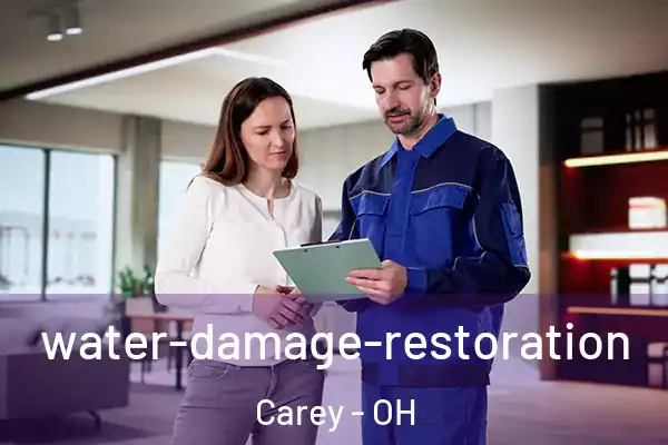  water-damage-restoration Carey - OH