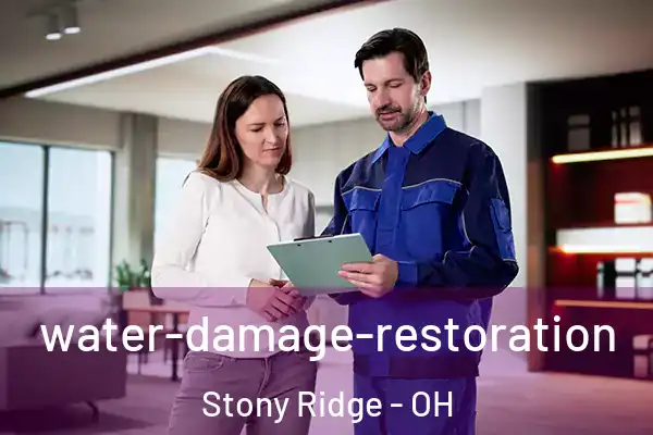 water-damage-restoration Stony Ridge - OH