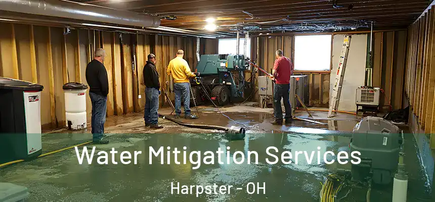  Water Mitigation Services Harpster - OH