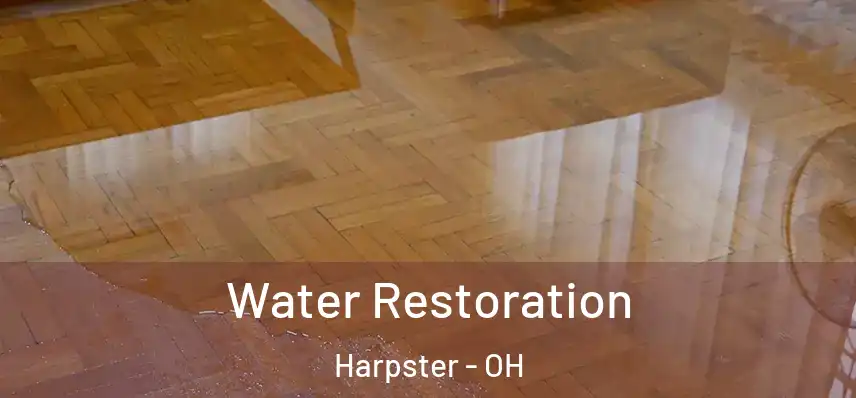 Water Restoration Harpster - OH